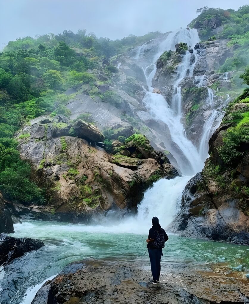 picsart 25 08 05 20 40 40 782[1]