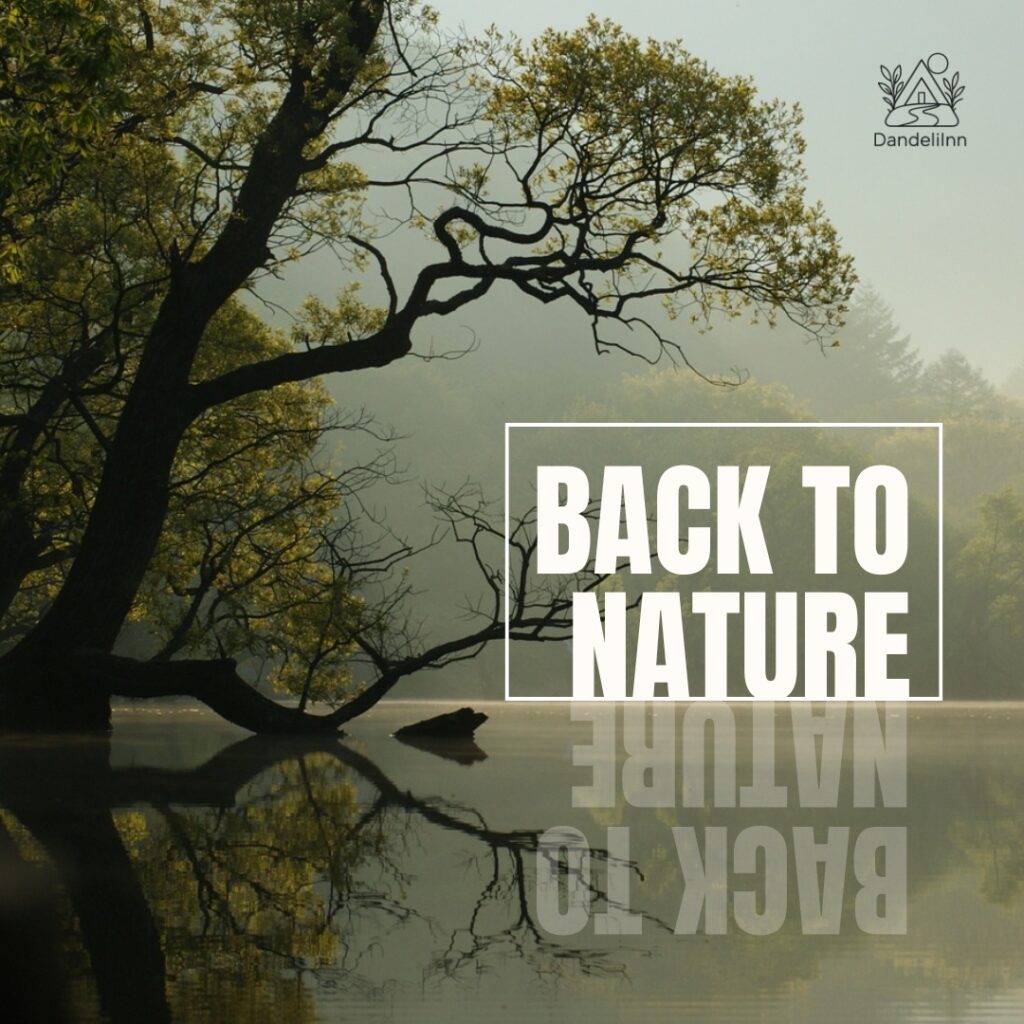 white and green modern simple minimalist back to nature instagram post