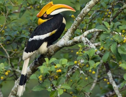 snapinsta.app 334269902 574285084635580 7517323031004653780 n 1080 e1694758399921.jpg